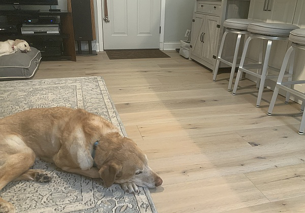 Hardwood Flooring Reviews