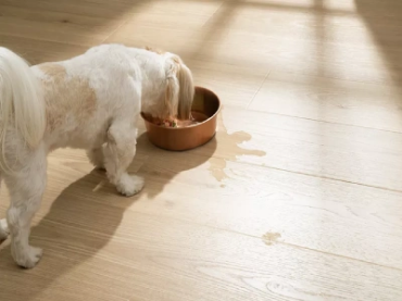 Show products in category Embossed