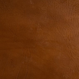 Picture of EcoDomo - Rainforest Planks Grizzly Hazelnut