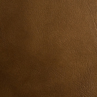 Picture of EcoDomo - Rainforest Planks Grizzly Chablis