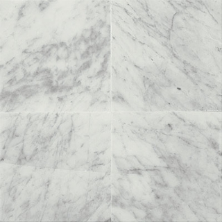 Picture of Daltile - Marble 12 x 12 Honed Carrara White