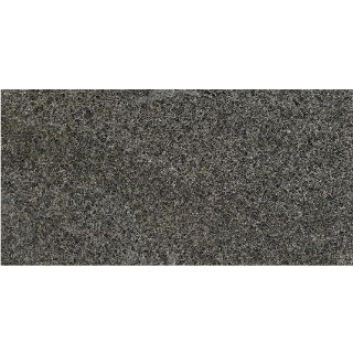 Picture of Daltile - Granite 12 x 24 Flamed Absolute Black