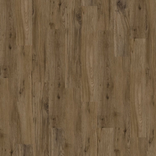 Picture of EarthWerks - Devan Cricket