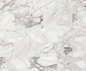 Picture of Daltile - Marble 3 x 6 Honed Venetian Calacatta