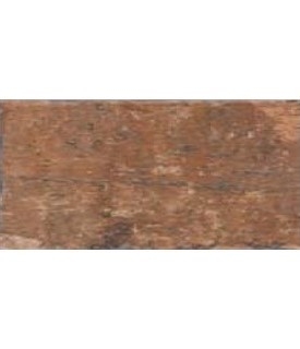 Picture of C.I.R. - New York Central Park