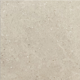 Picture of Daltile - Dignitary 12 x 24 Light Polished Notable Beige