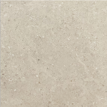Picture of Daltile - Dignitary 12 x 24 Light Polished Notable Beige