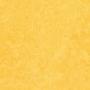 Picture of Forbo - Marmoleum Modular Color 20 x 20 Lemon Zest
