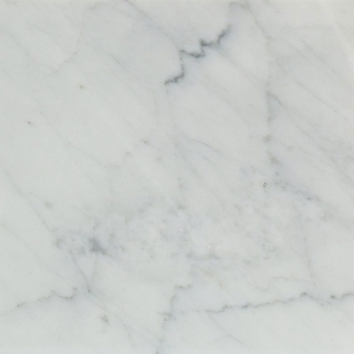 Picture of SOHO Studio Corp - White Carrara 12 x 12 White Carrara C 12 x 12