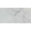 Picture of SOHO Studio Corp - White Carrara 12 x 24 White Carrara C 12 x 24