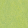Picture of Forbo - Marmoleum Modular Color 10 x 10 Refreshing Green