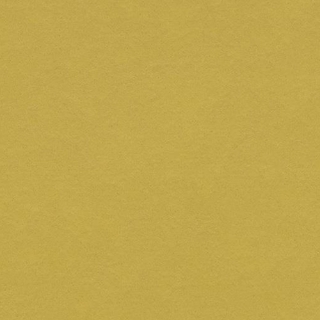 Picture of Forbo - Marmoleum Modular Color 10 x 10 Yellow Moss