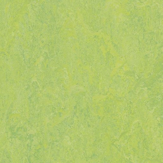 Picture of Forbo - Marmoleum Modular Color 20 x 20 Refreshing Green