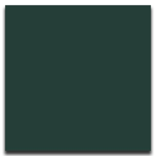 Picture of Johnsonite - Solid Colors Smooth 24 x 24 Hunter Green