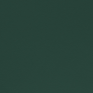 Picture of Johnsonite - Solid Colors Hammered Hunter Green
