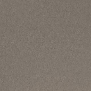 Picture of Johnsonite - Solid Colors Hammered Moon Rock