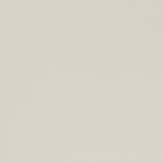 Picture of Johnsonite - Solid Colors Hammered Pearl