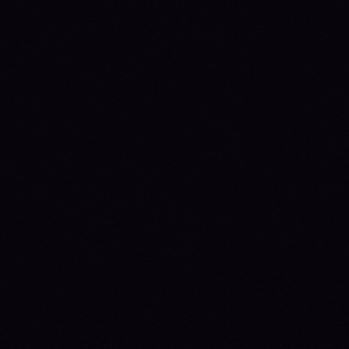 Picture of Johnsonite - Solid Colors Leather Black