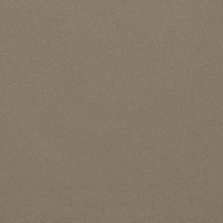 Picture of Johnsonite - Solid Colors Leather Fawn