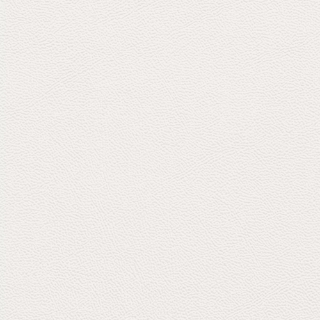 Picture of Johnsonite - Solid Colors Leather Mist