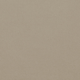 Picture of Johnsonite - Solid Colors Leather Shoreline