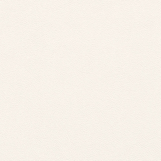 Picture of Johnsonite - Solid Colors Leather Snow White