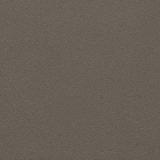 Picture of Johnsonite - Solid Colors Leather Toast