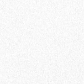 Picture of Johnsonite - Solid Colors Leather White Sand