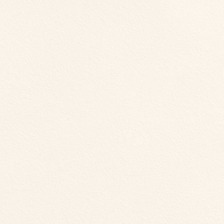 Picture of Johnsonite - Solid Colors Rice Paper Snow White