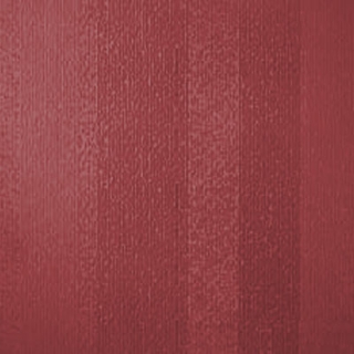 Picture of Johnsonite - Circulinity Fast Lane Flame