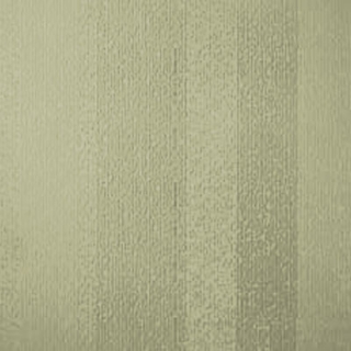 Picture of Johnsonite - Circulinity Fast Lane Iguana