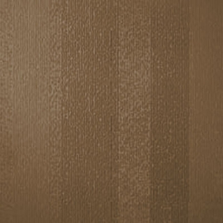 Picture of Johnsonite - Circulinity Fast Lane Sandalwood