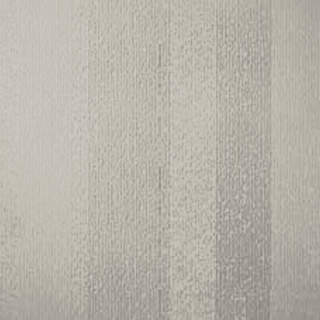 Picture of Johnsonite - Circulinity Fast Lane Zephyr