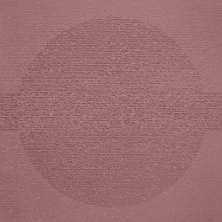 Picture of Johnsonite - Circulinity Round-A-Bout Flame