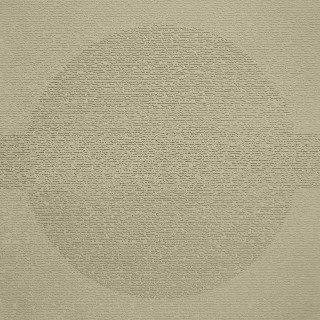 Picture of Johnsonite - Circulinity Round-A-Bout Iguana