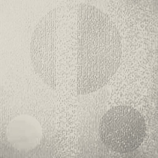 Picture of Johnsonite - Circulinity Tricycle Canvas