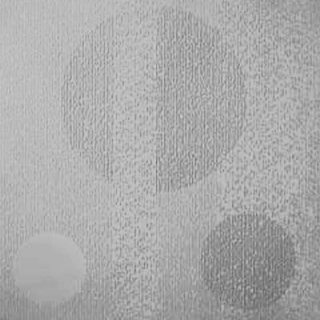 Picture of Johnsonite - Circulinity Tricycle Platinum