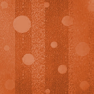 Picture of Johnsonite - Circulinity Effervescent Tangerine Tango