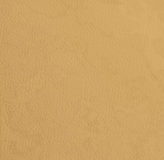 Picture of Johnsonite - Mesto Configurations 6 x 6 Golden Slumber