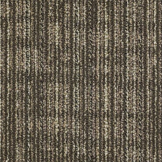 Picture of Philadelphia Commercial by Shaw - Mesh Weave Barley