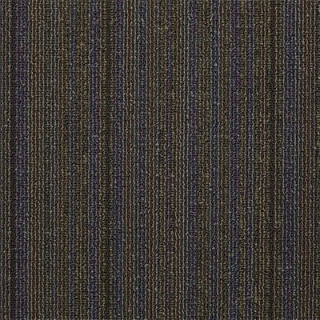 Picture of Philadelphia Commercial by Shaw - Wired Magnetized