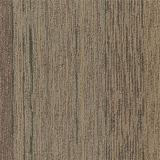 Picture of Philadelphia Commercial by Shaw - Unscripted - Off The Cuff Reality TV