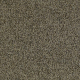 Picture of Philadelphia Commercial by Shaw - Multiplicity 24 x 24 Oodles