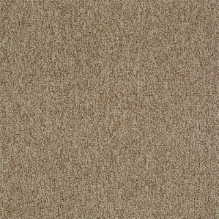 Picture of Philadelphia Commercial by Shaw - Multiplicity 24 x 24 Plethora