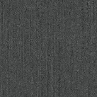 Picture of Philadelphia Commercial by Shaw - Color Accents 18 x 36 Gunmetal