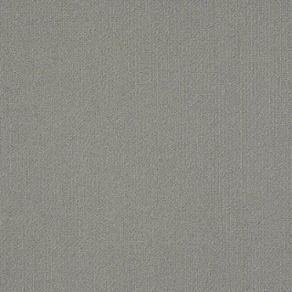 Picture of Philadelphia Commercial by Shaw - Color Accents 18 x 36 Med Grey