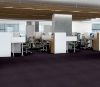 Picture of Philadelphia Commercial by Shaw - Color Accents 24 x 24 Eggplant