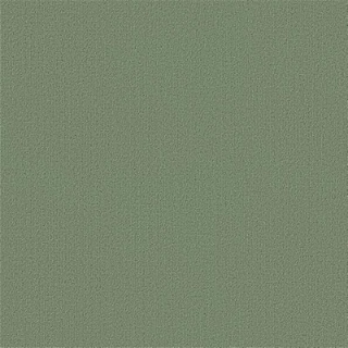 Picture of Philadelphia Commercial by Shaw - Color Accents 24 x 24 Foliage