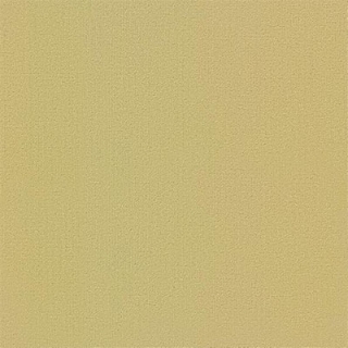 Picture of Philadelphia Commercial by Shaw - Color Accents 24 x 24 Glaze