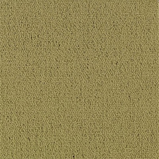 Picture of Philadelphia Commercial by Shaw - Color Accents 24 x 24 Herbal